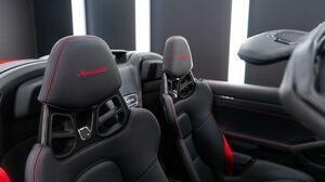 991.2 Speedster Guards Red